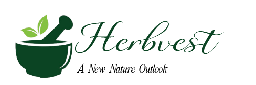 Hafiz Herbals